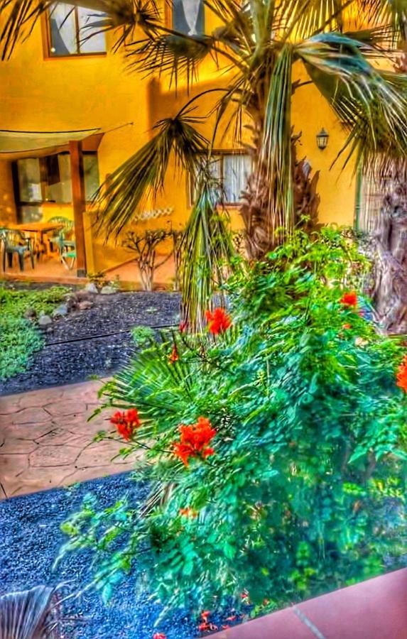 Paradise House Corralejo Exteriör bild